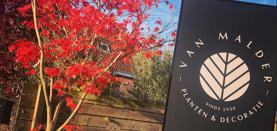 Plantencentrum Van Malder sluit de deuren | Persinfo