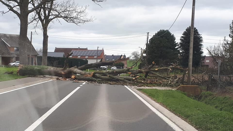 Foto: Kris Poelaert